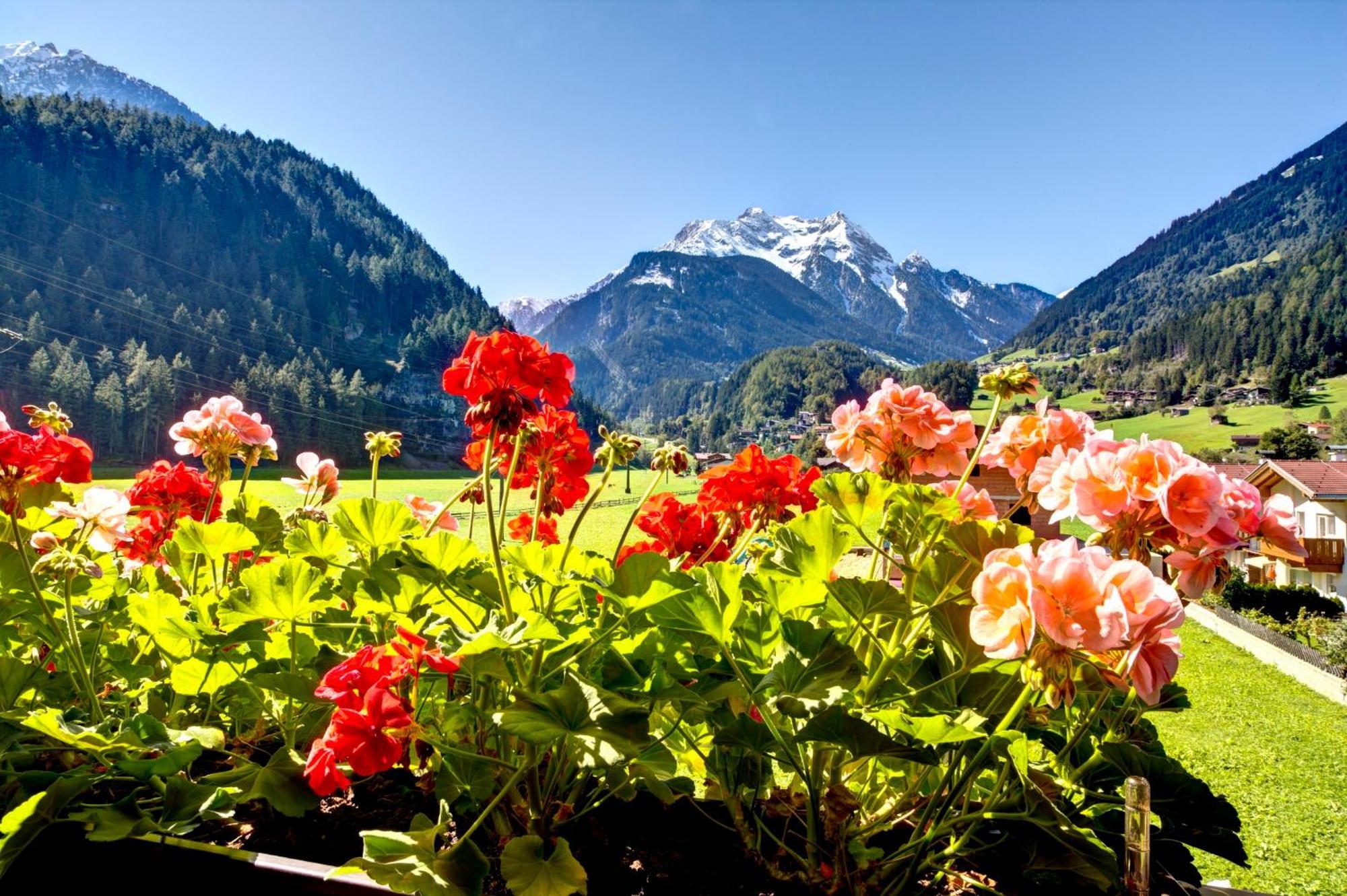 Gaestehaus Oblasser Mayrhofen Exterior foto